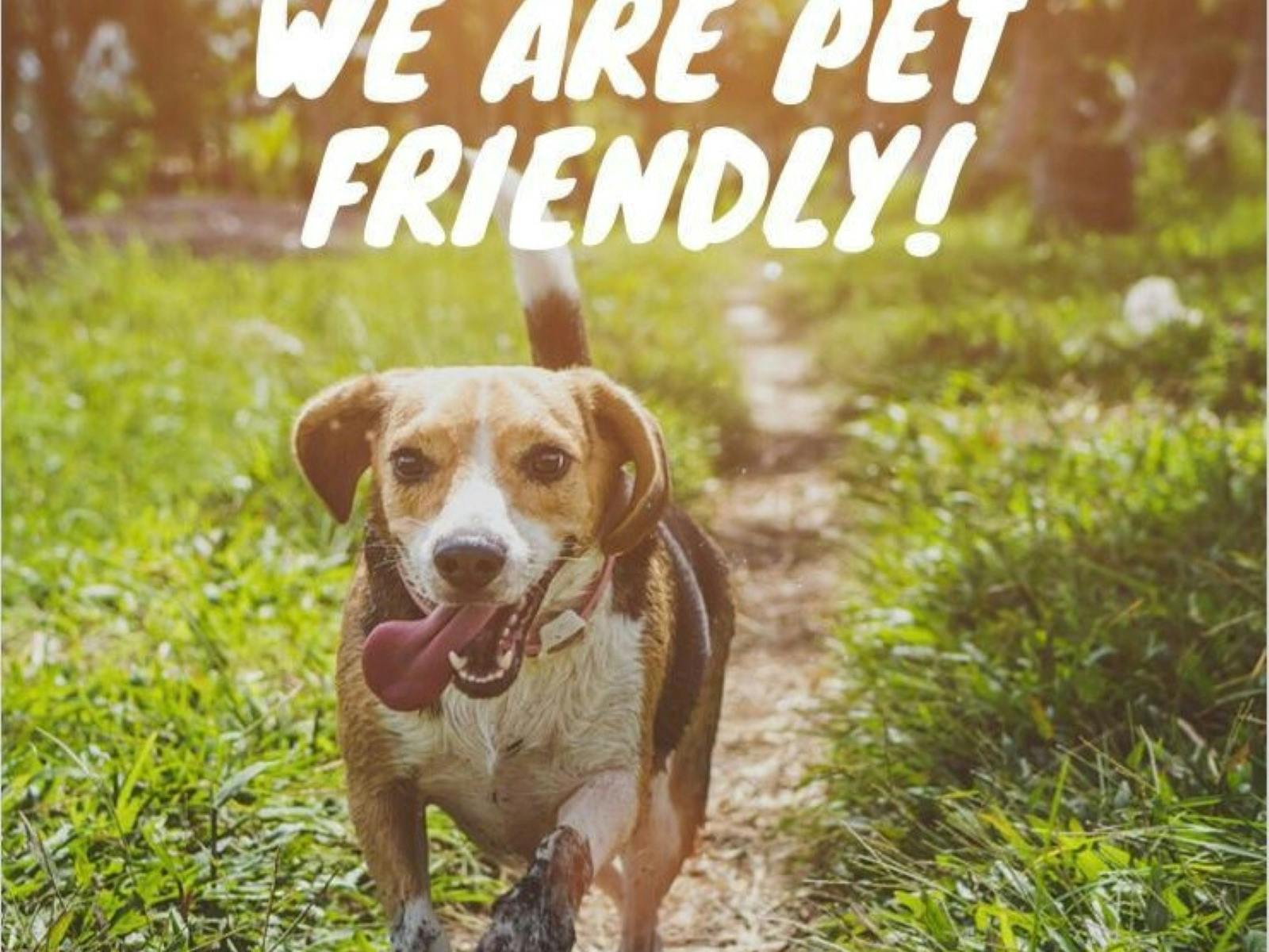 Pet Friendly