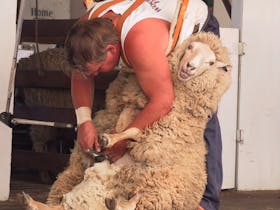 Bombala Show Cover Image