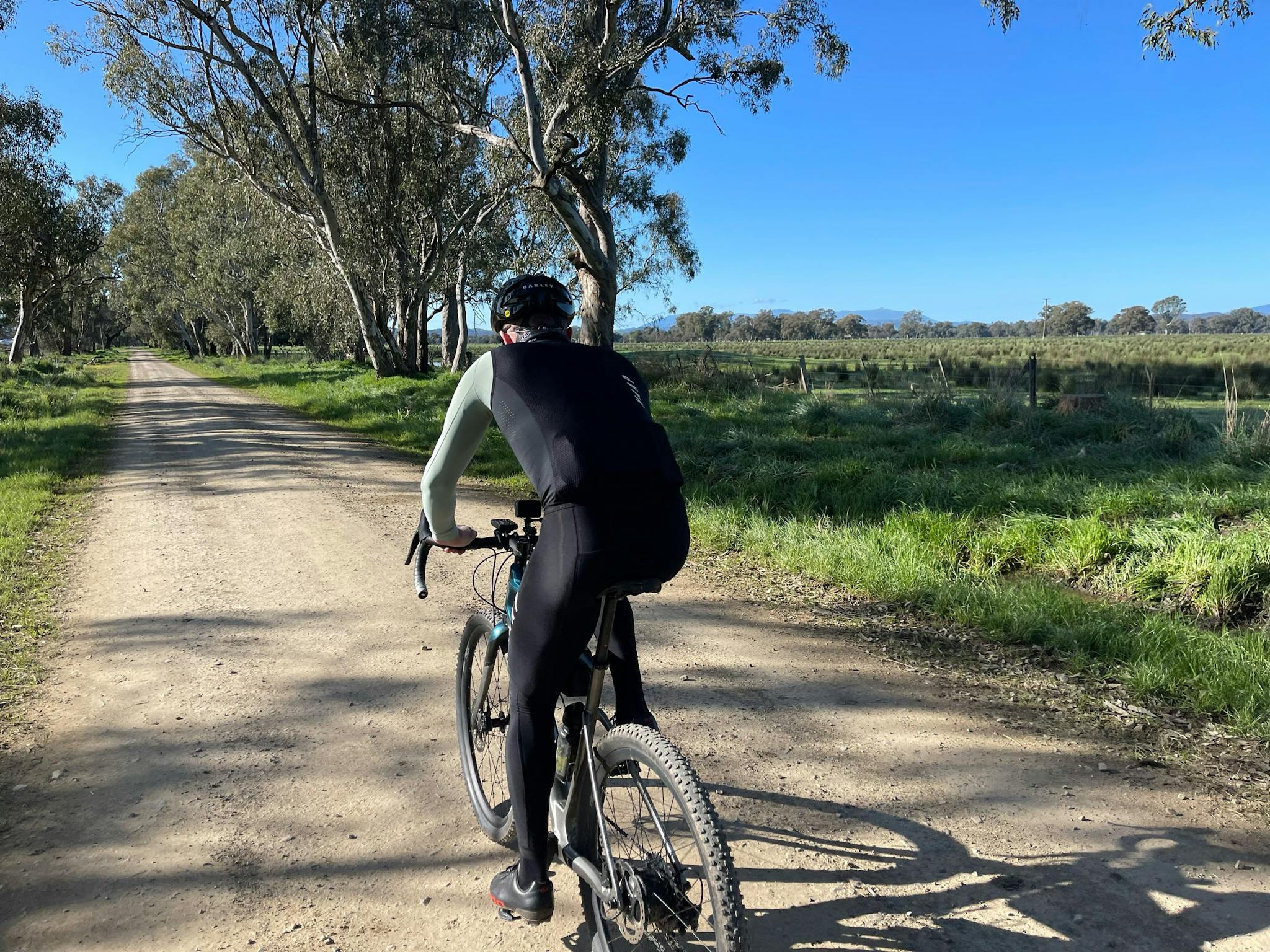 Cyclist on gravel road, green grass, paddocks, gum trees, blue sky