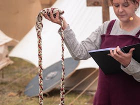 A handfasting ceremony