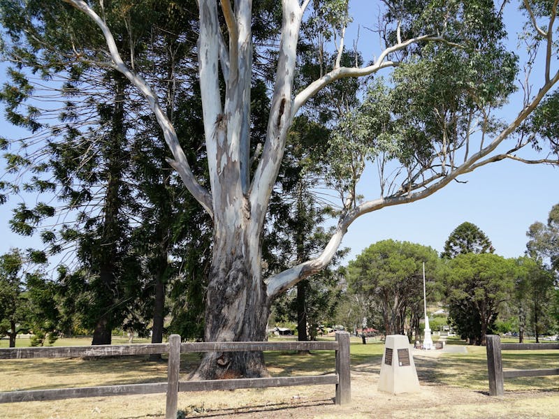 Hawkesbury City Council