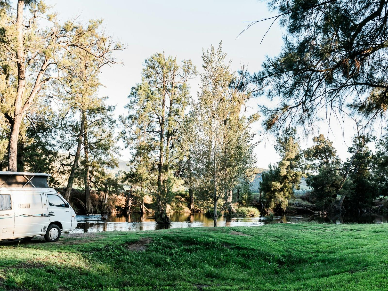 ウィージャスパー