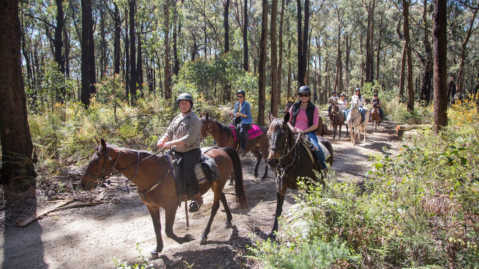 Chum Creek Horse Riding and Huts