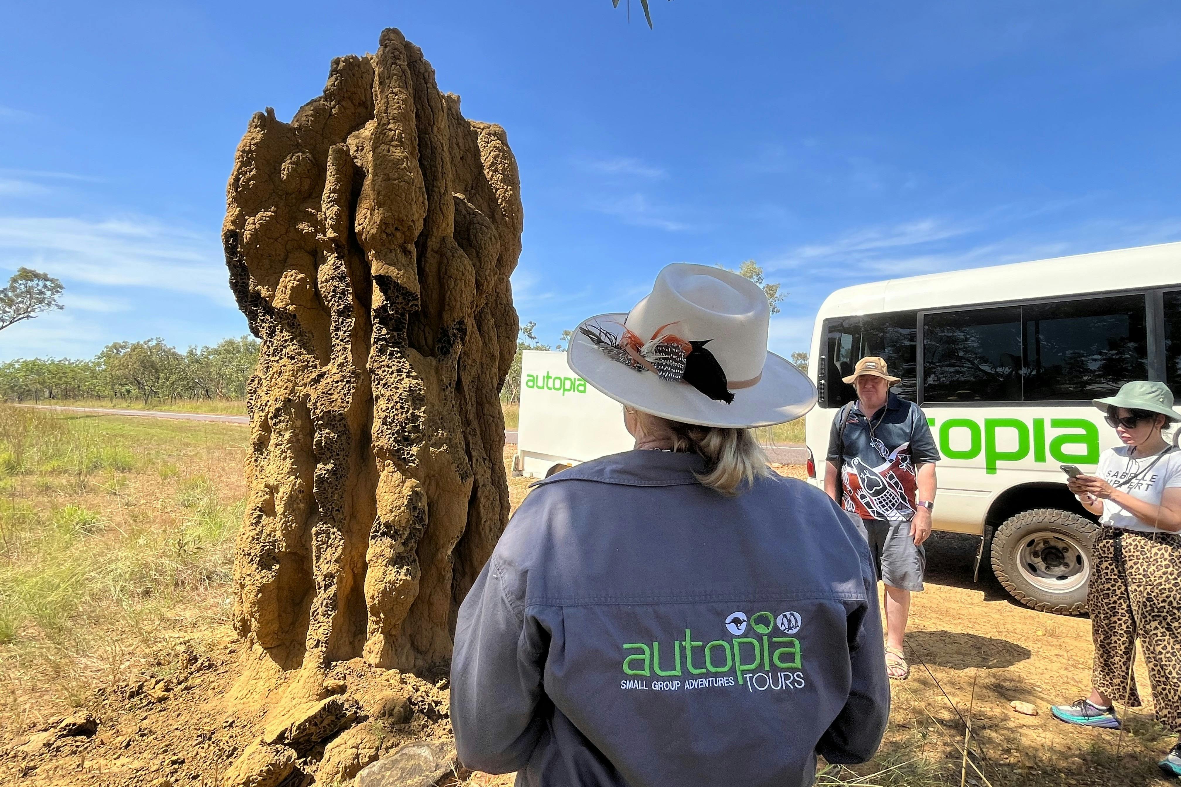 Autopia - Kakadu Hwy Termite Mounds