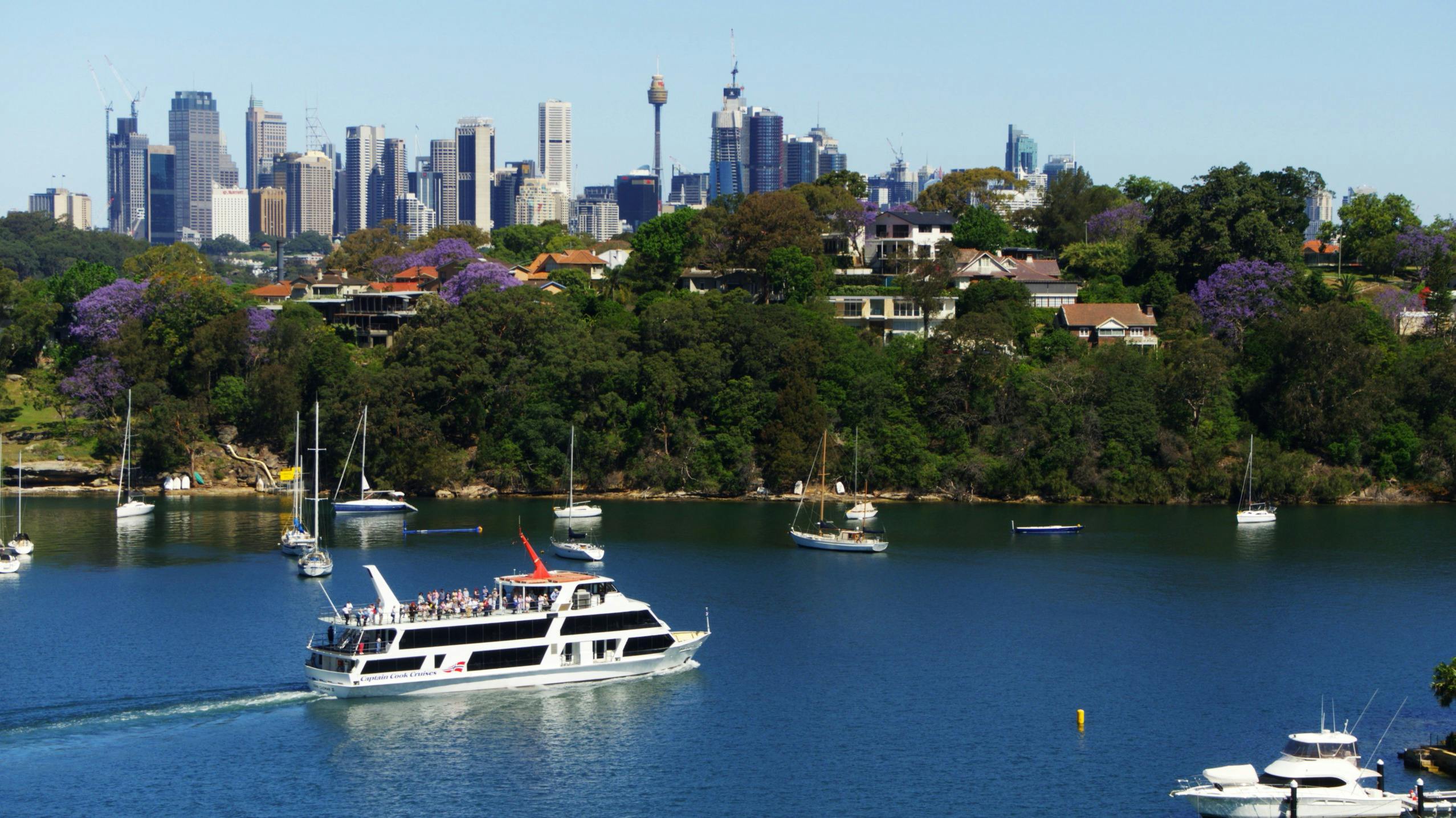 The view from our Captain Cook cruise boat of some of the jacaranda in flower on Sydney Harbour.