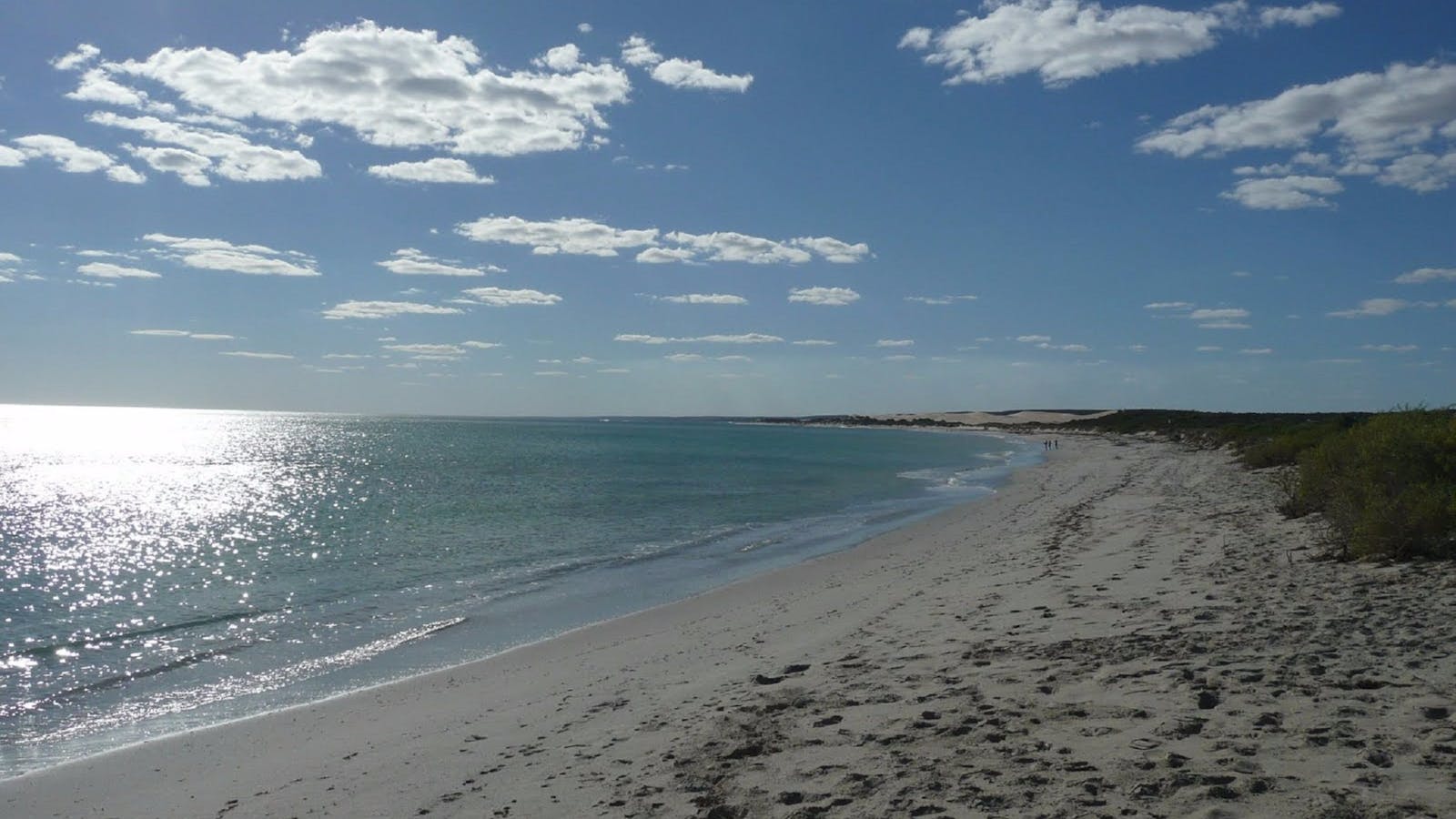 Tarcoola Beach