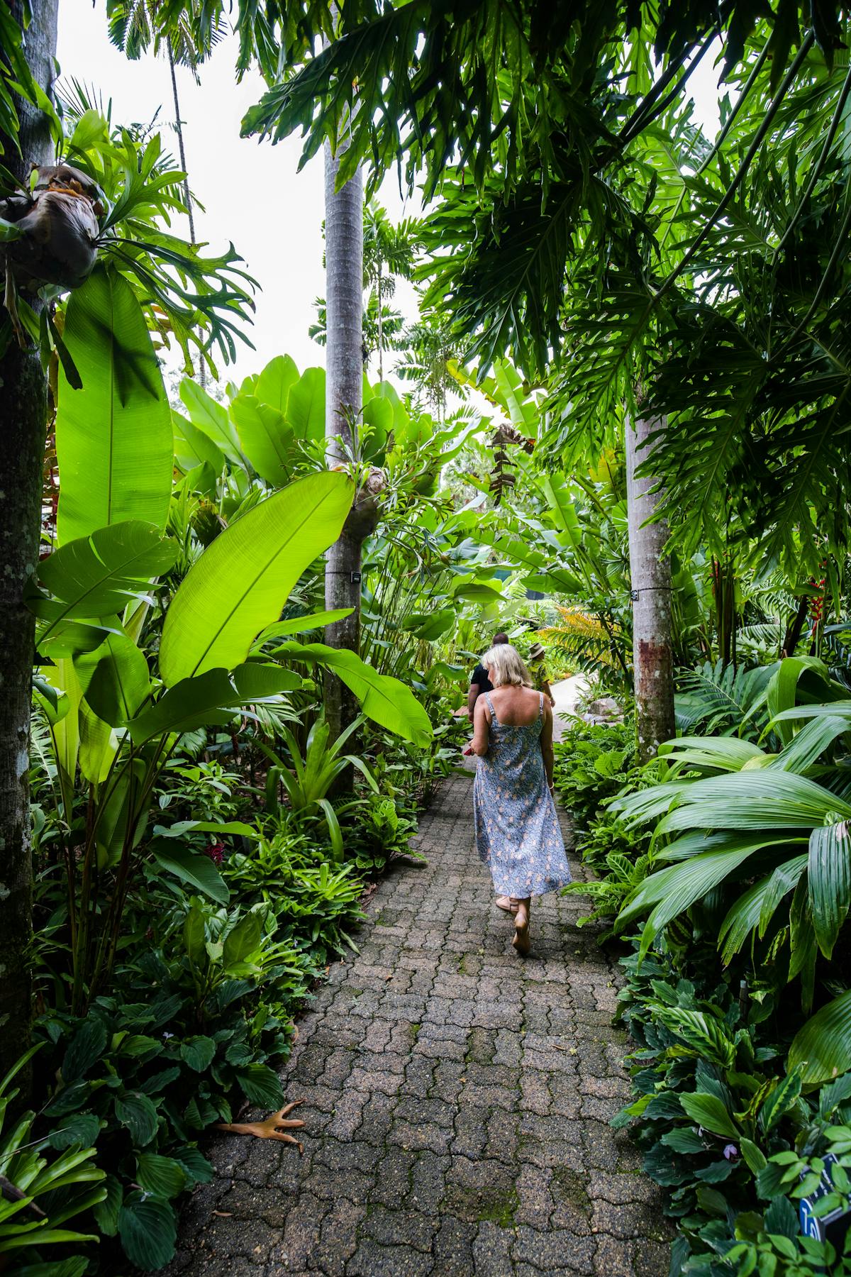 Cairns Botanic Gardens