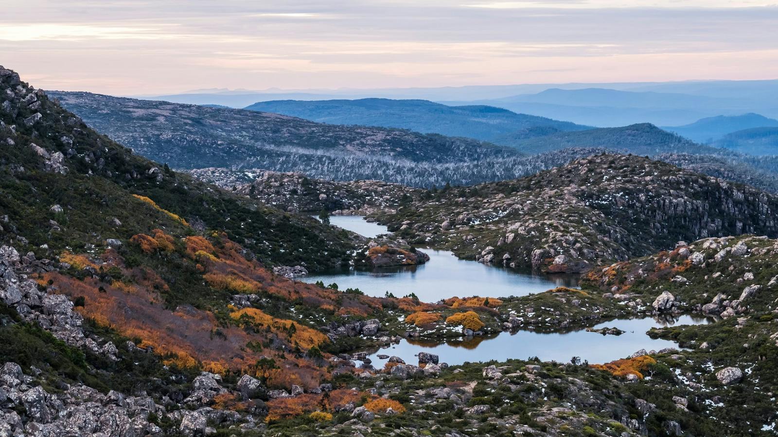 Mt Field National Park