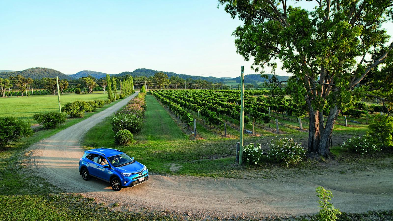 Driving in Southern Queensland