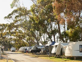 A row of camping sites with tents