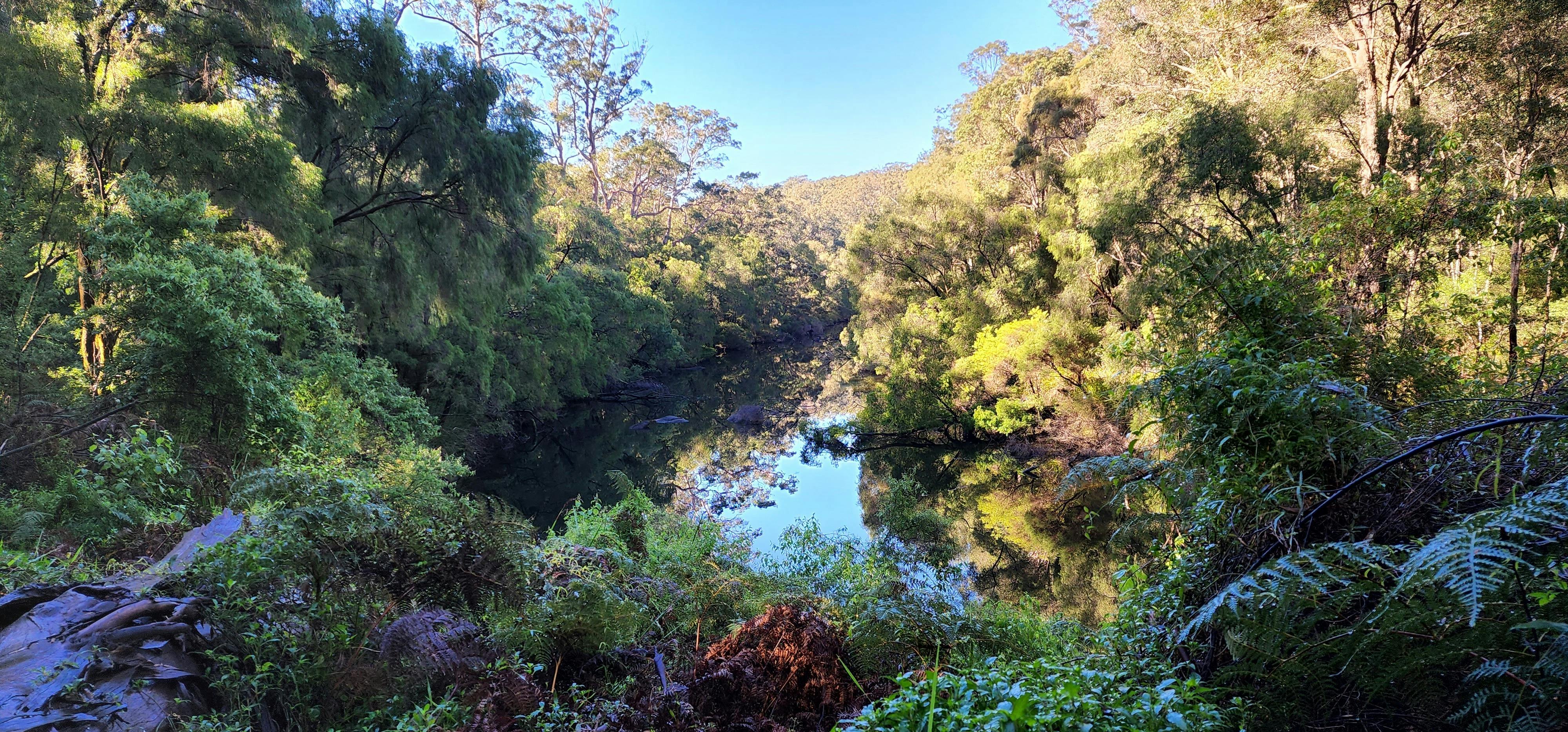 Still river surrounded by trees in the foreground and background