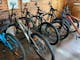A large range of different size bikes available for hire