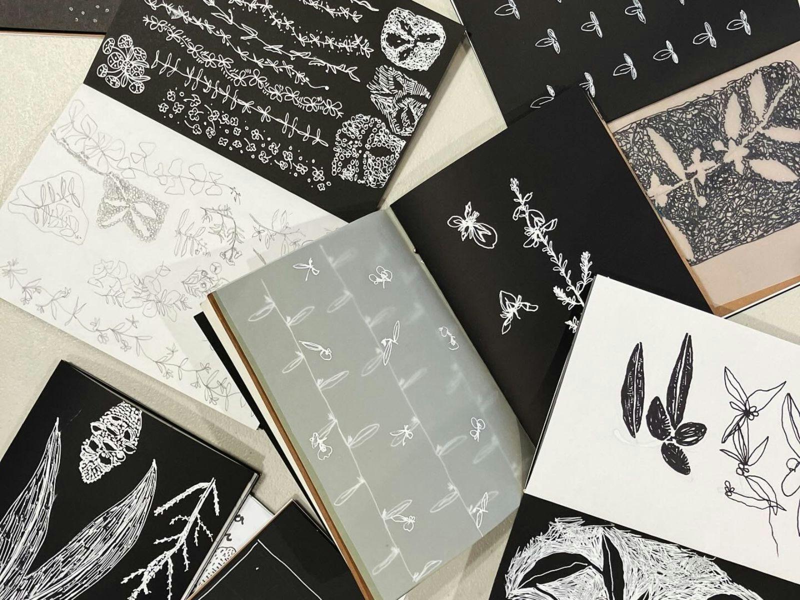 Photo of sketchbooks with nature drawings