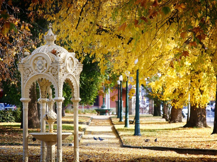Autumn Colours, Bathurst, Machattie Park, History, Heritage