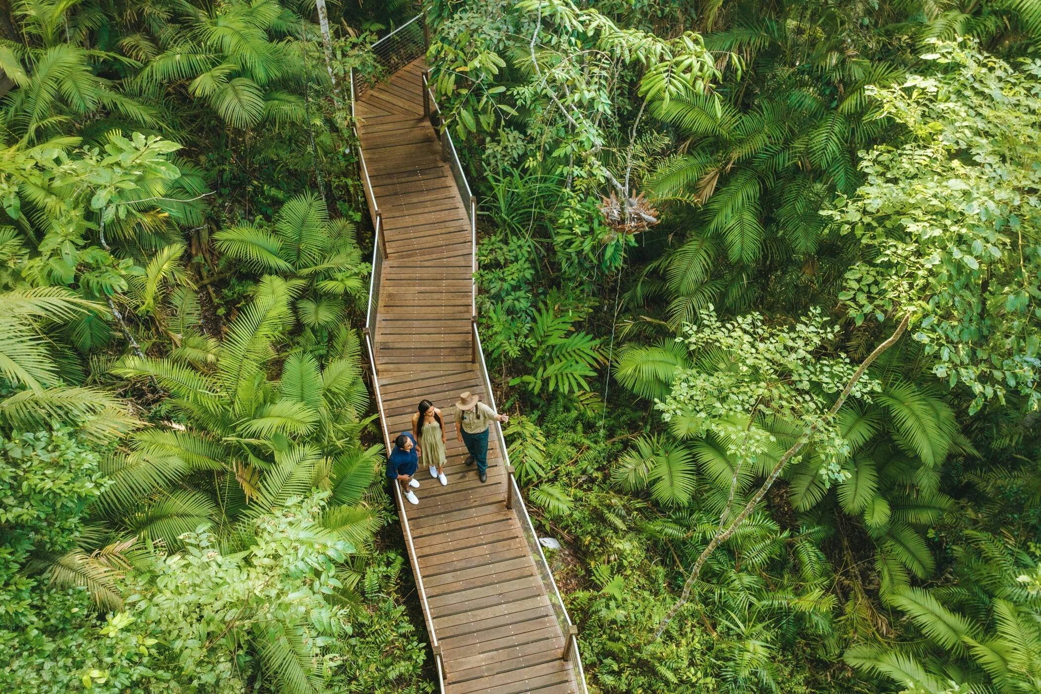 Autopia Via Travel - Cairns Wet Tropics World Heritage Area