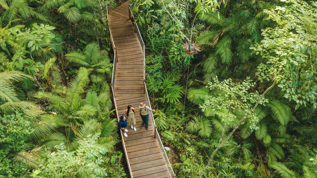 Autopia Via Travel - Cairns Wet Tropics World Heritage Area