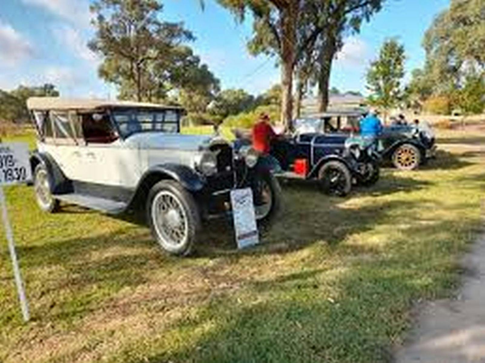 Vintage cars