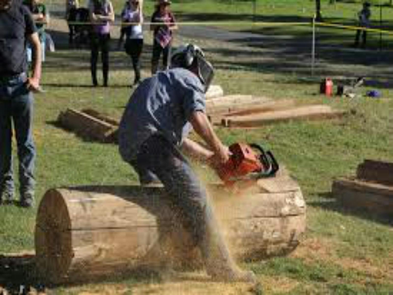 Image for Tocal Field Days