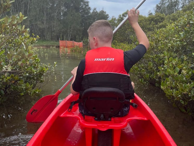 Navigating mangroves in Minnamurra River with Gumaraa tours