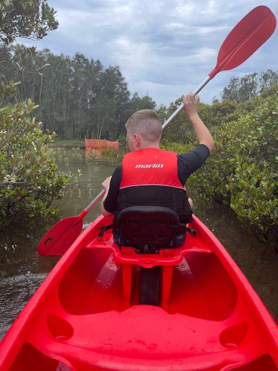 Navigating mangroves in Minnamurra River with Gumaraa tours