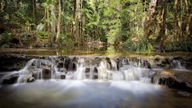 Orara East State Forest