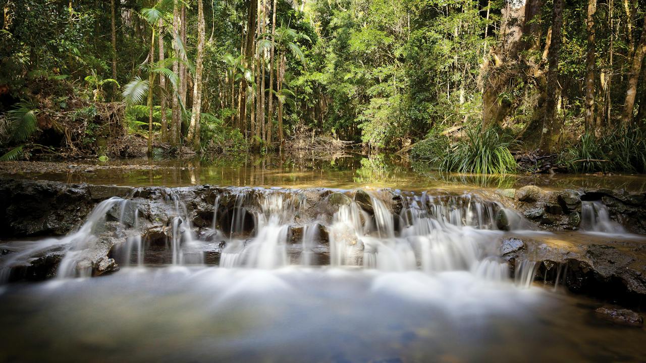 Waterway, Orara East State Forest