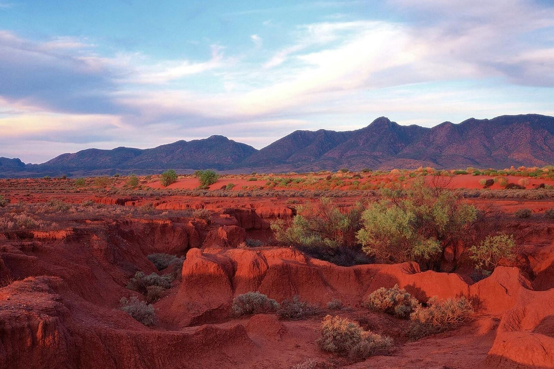 Flinders Ranges