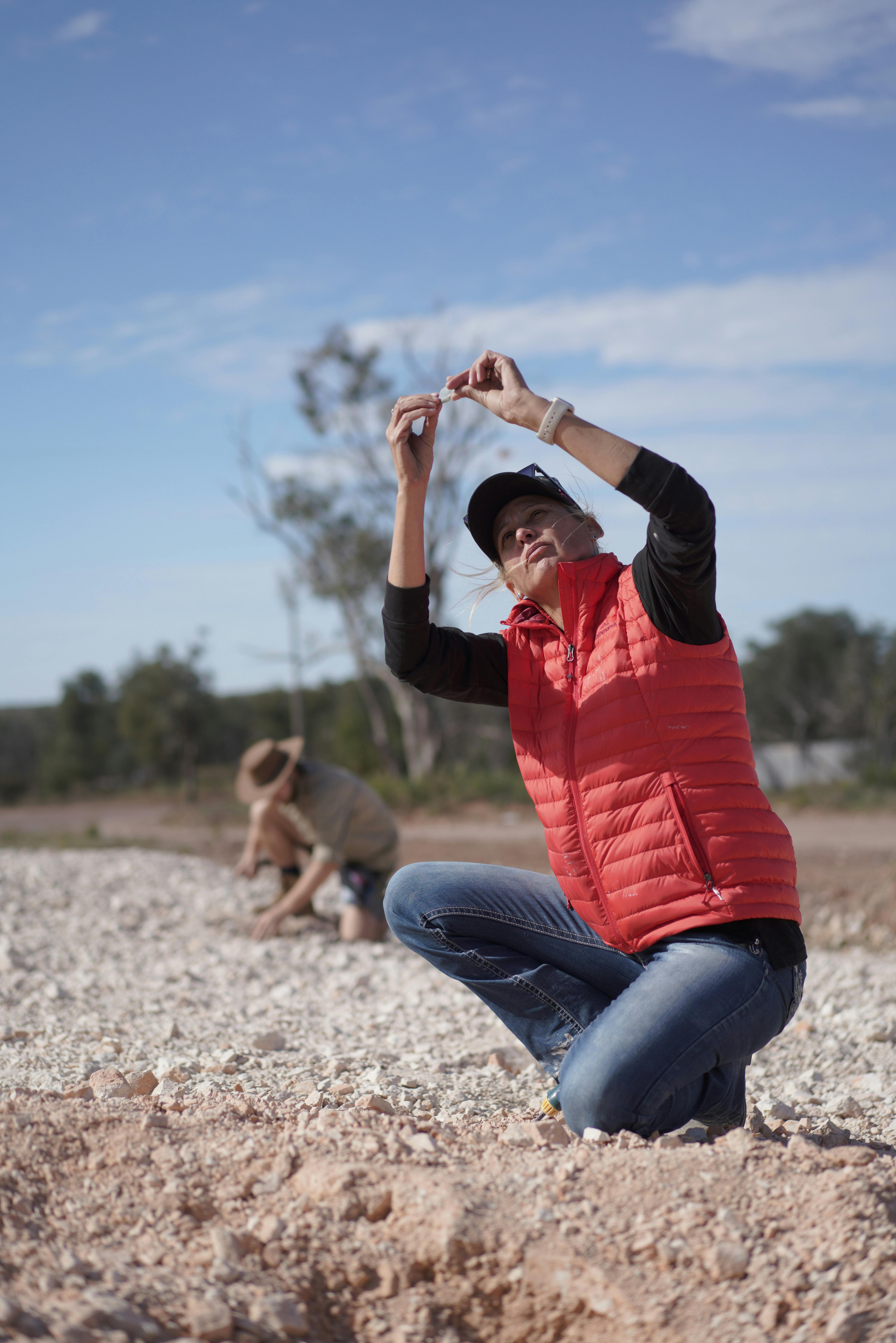 オパール畑とブッシュパブへの 1 日ツアーで化石観察を体験