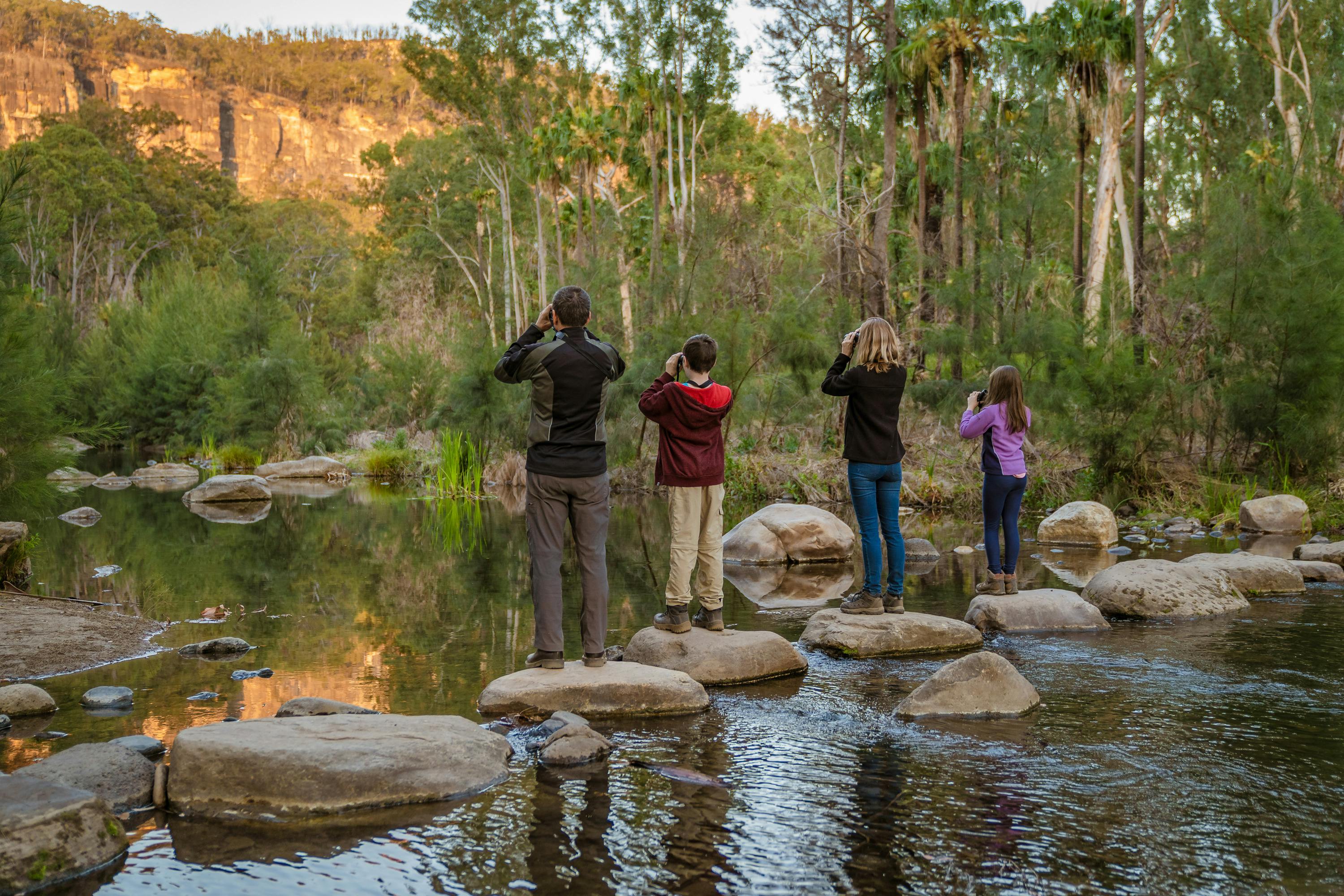 A tour guide and his group stand on stepping stones watching for platypus in Carnarvon Gorge's creek