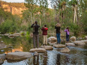 A tour guide and his group stand on stepping stones watching for platypus in Carnarvon Gorge's creek