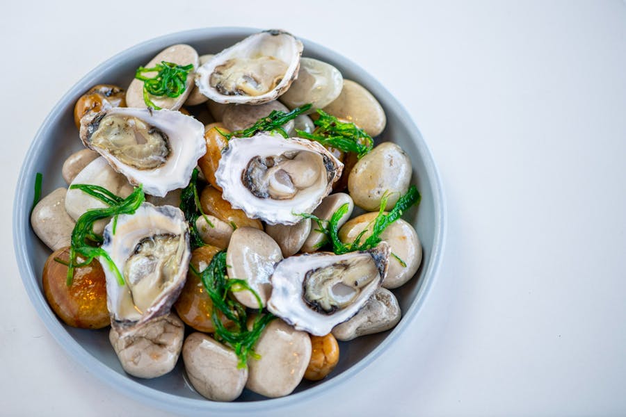 Yves - Oysters
