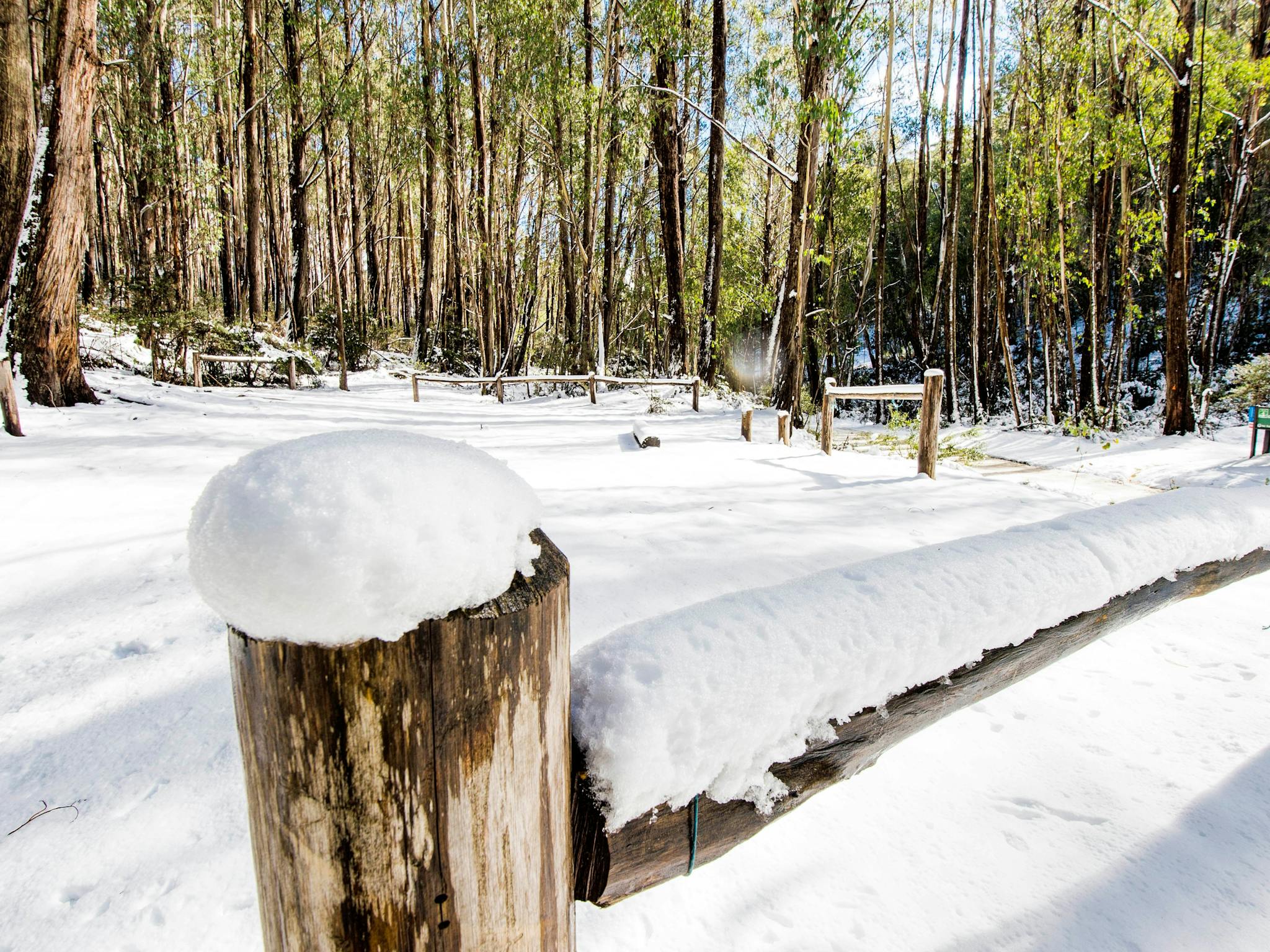 Snowfall at Mt Stirling