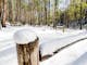 Snowfall at Mt Stirling