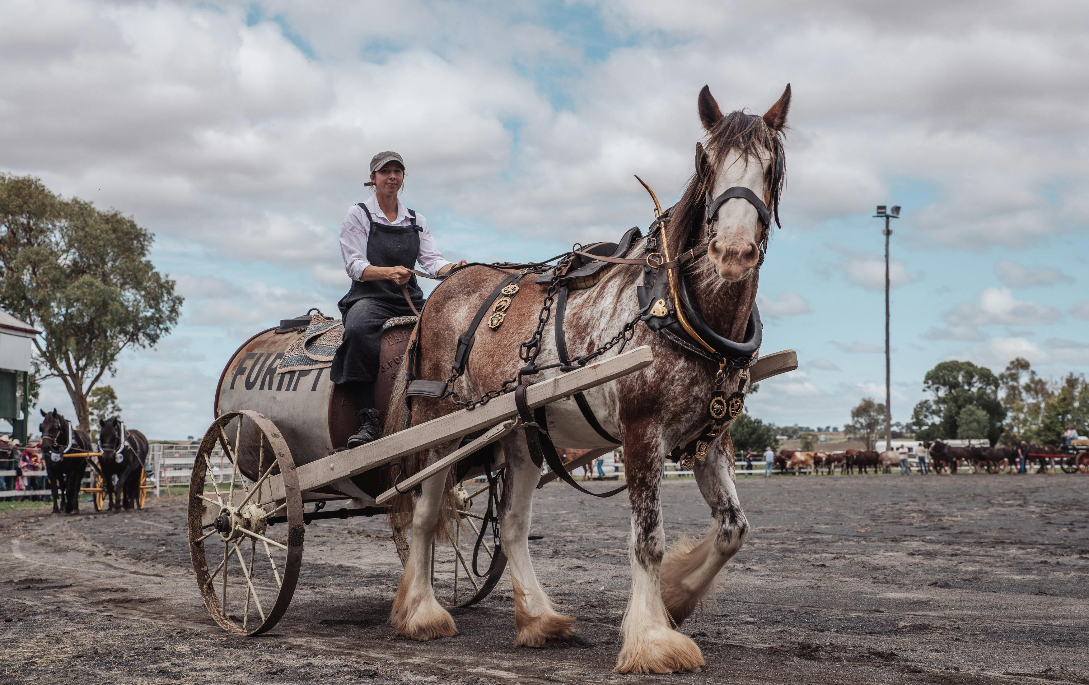 Furphy Water Cart at Darling Downs Heavy Horse Festival