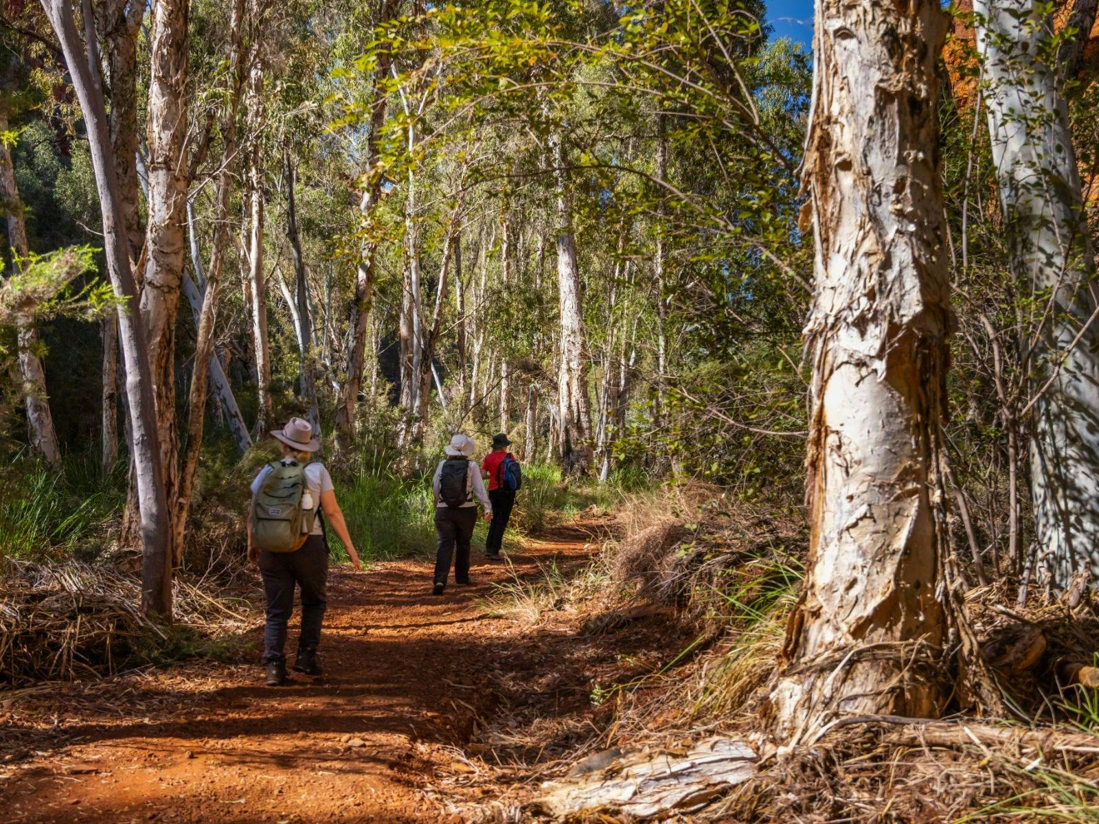 Karijini hikers walking