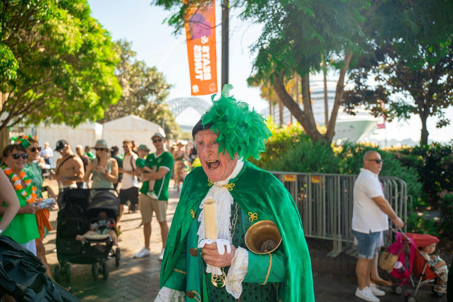 St. Patrick's Day-Ikone