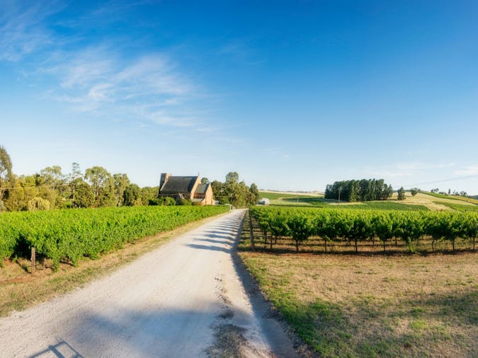 Clare Valley Grape Express Tours