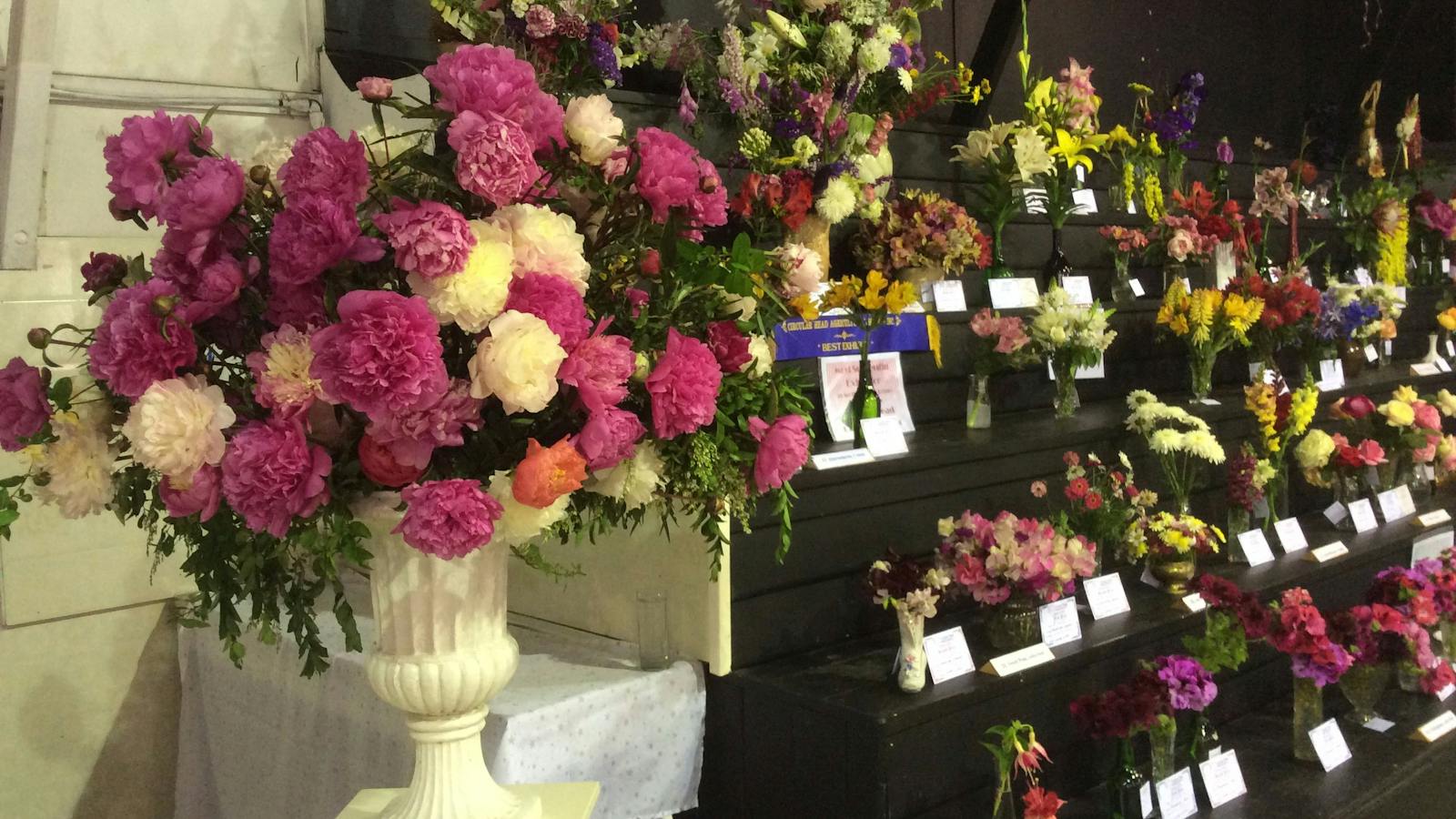Circular Head Agricultural Show
