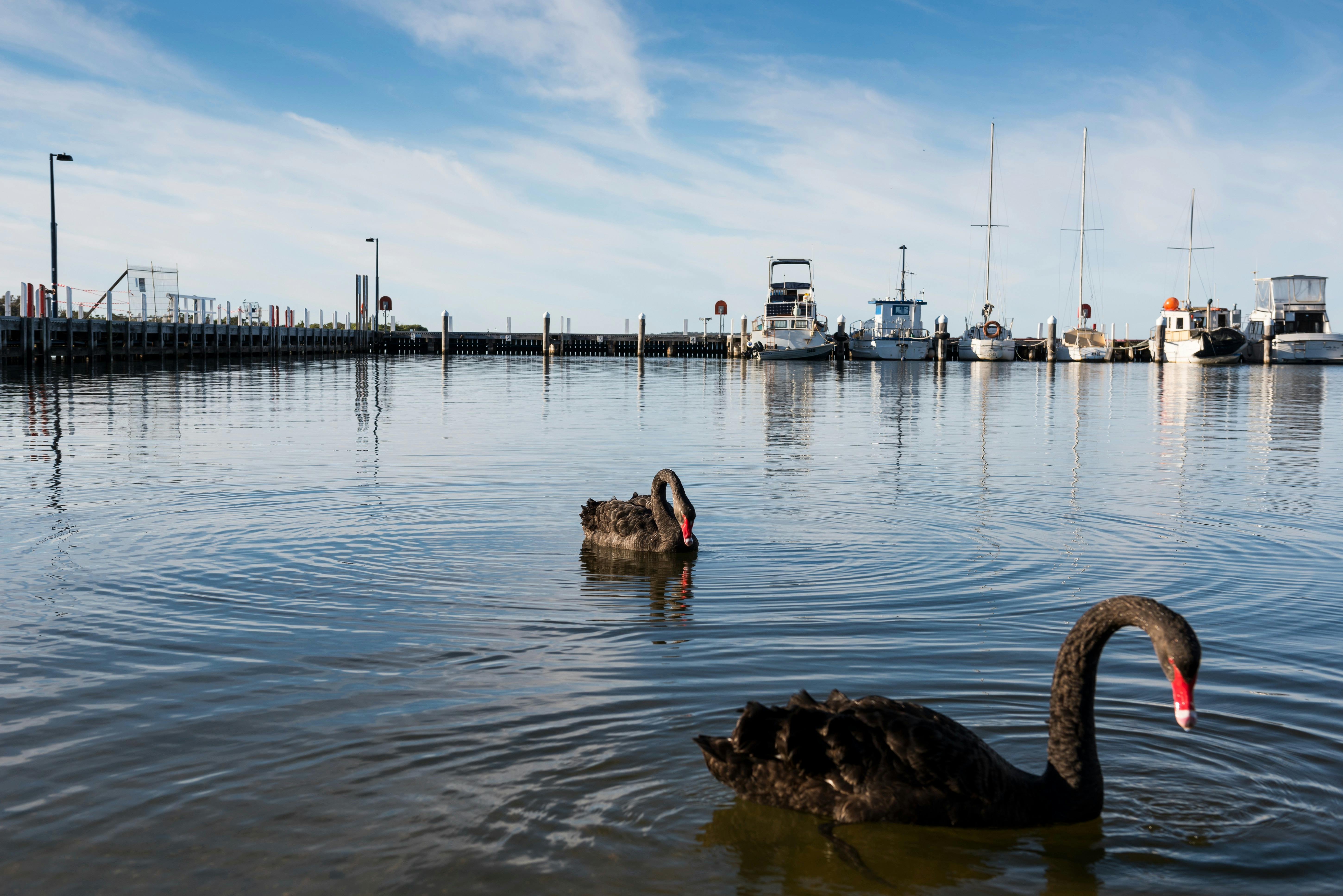 Progress Jetty Paynesville