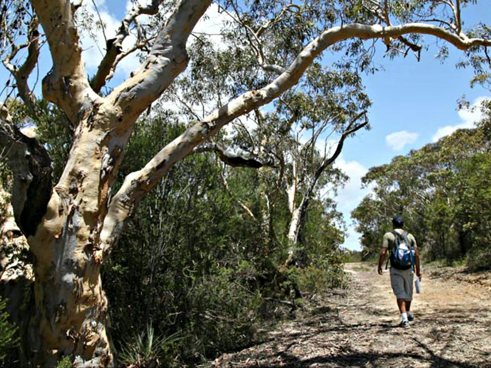 Salvation Loop Trail