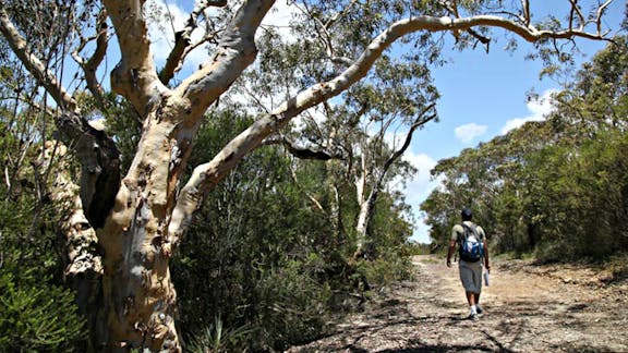 Salvation Loop Trail