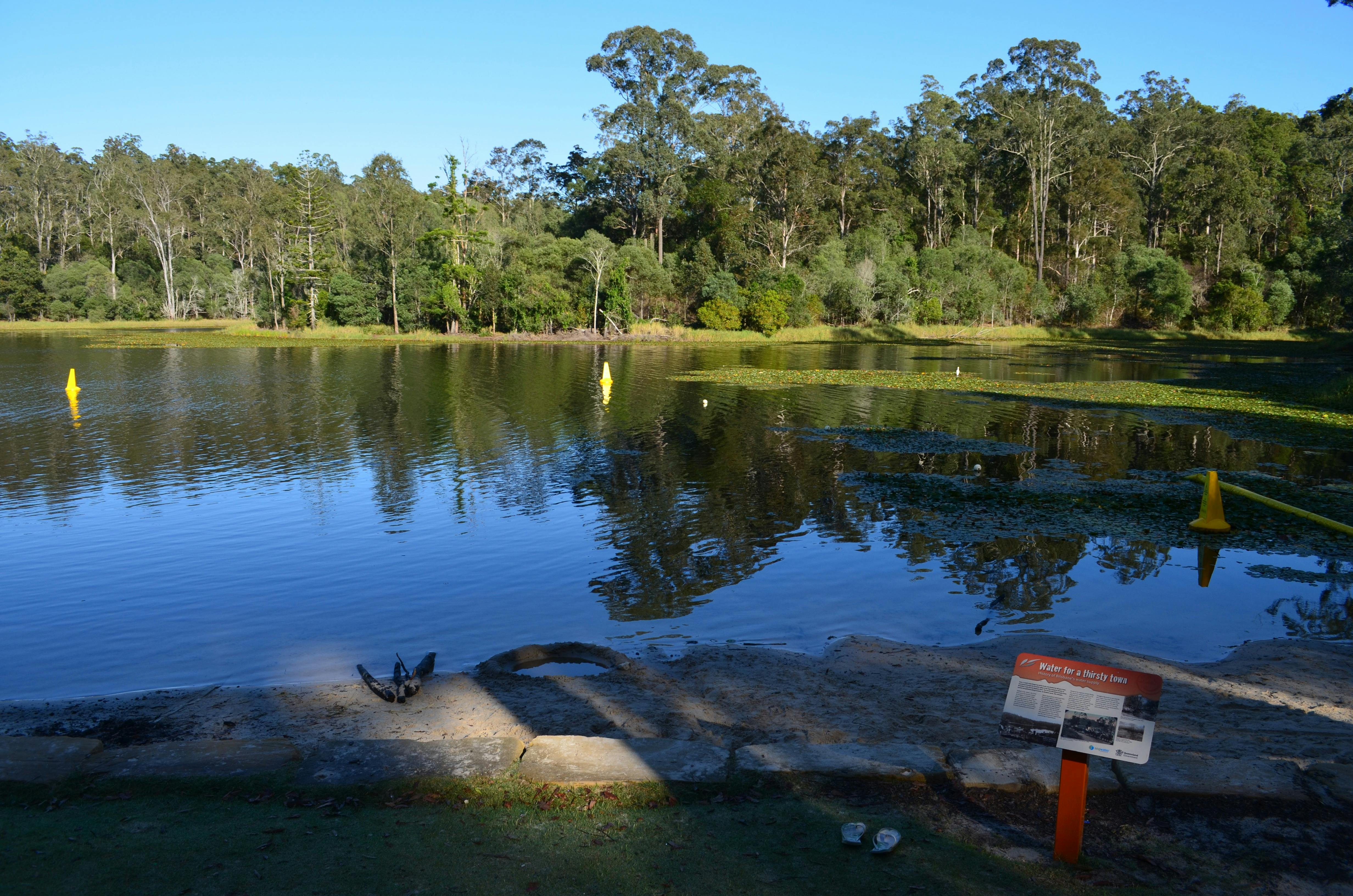Green fringing trees are reflected in blue waters of reservoir.