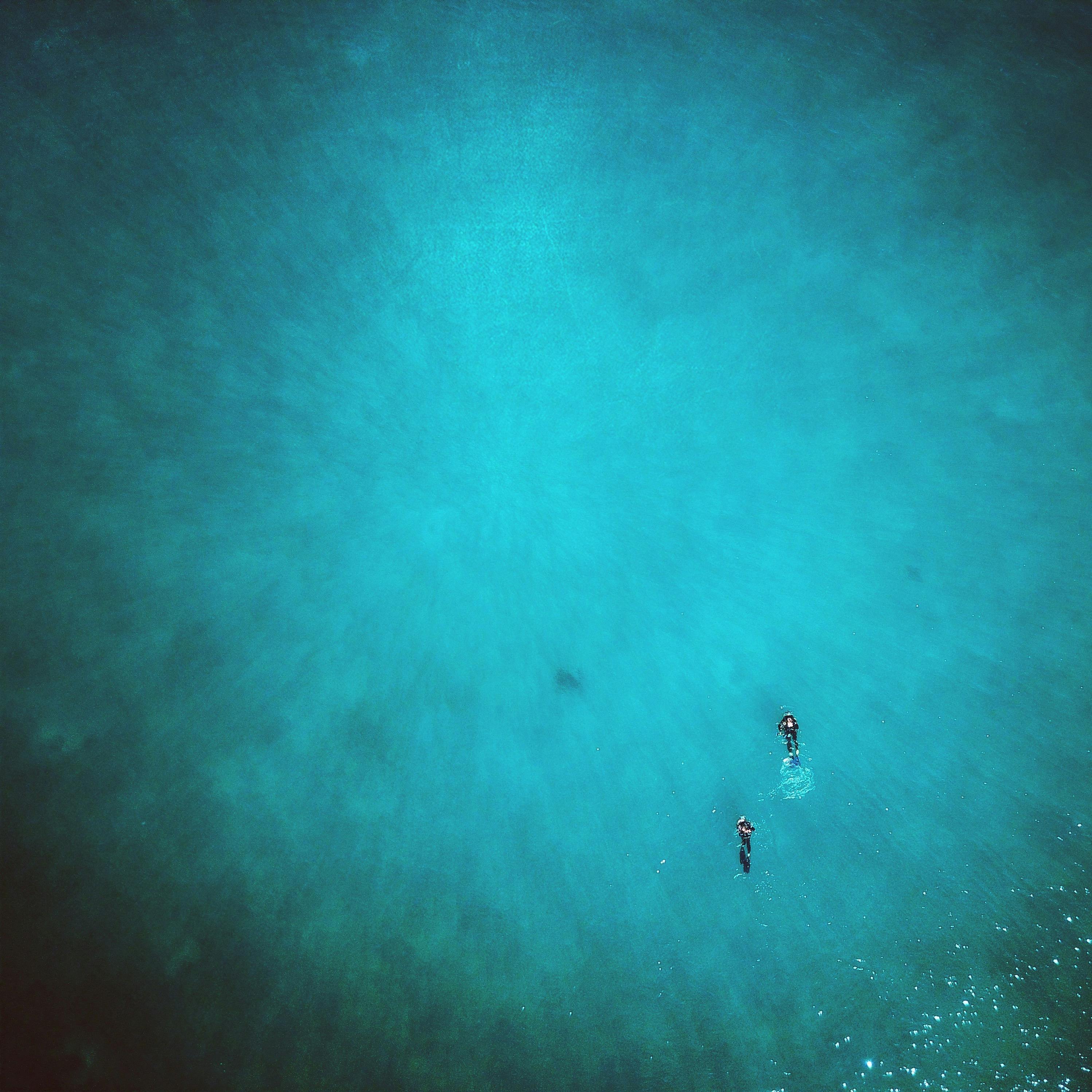 Dive