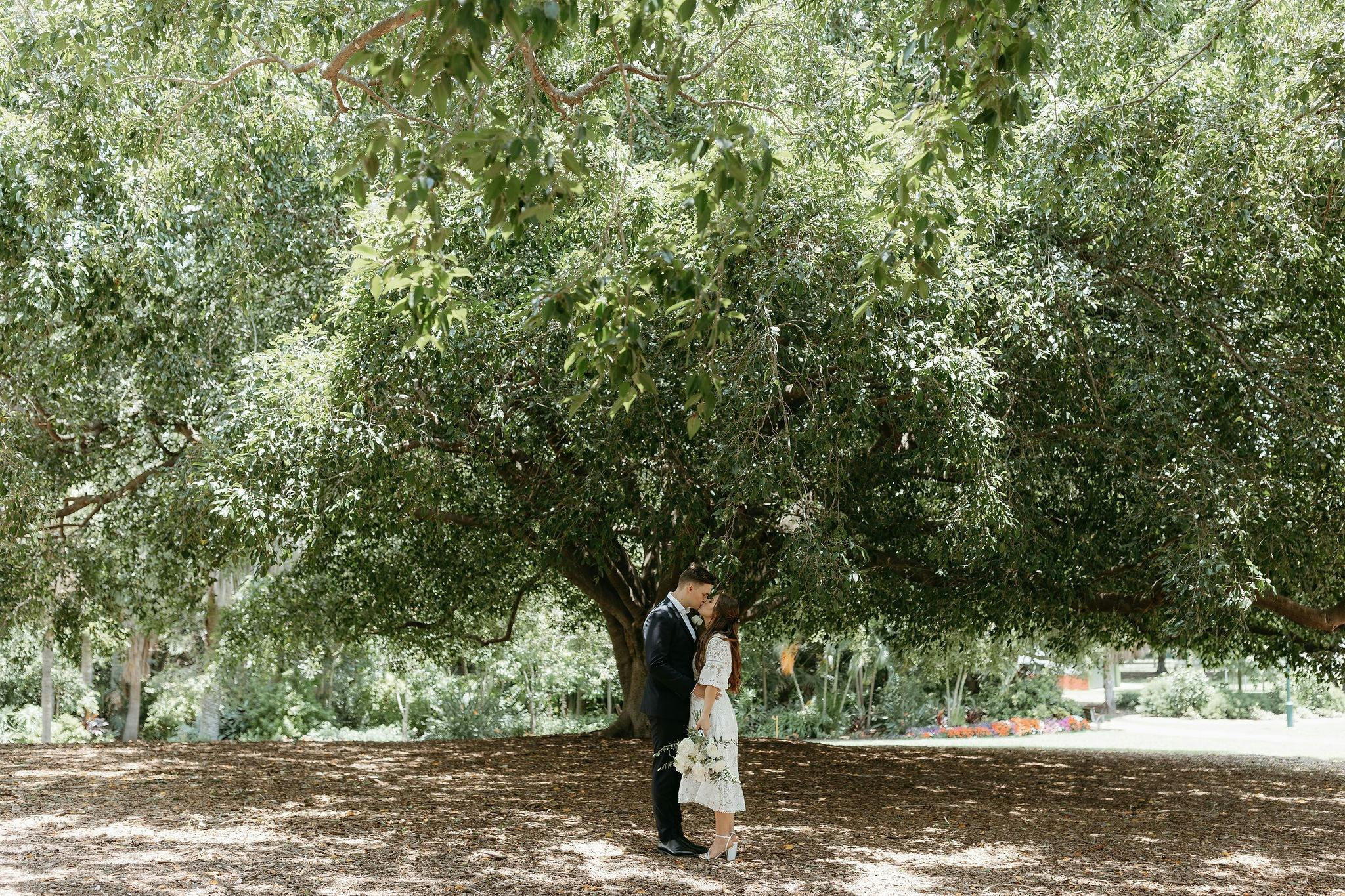 tree elopement photos