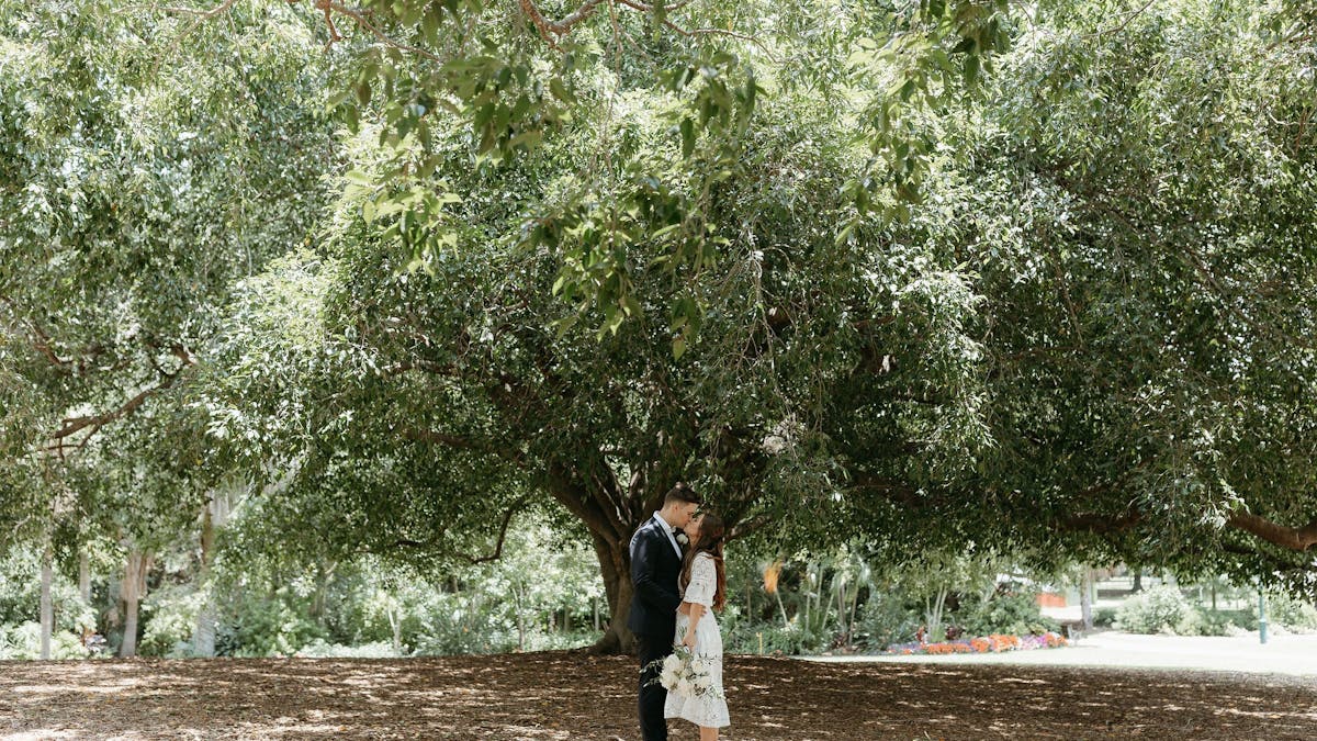 tree elopement photos