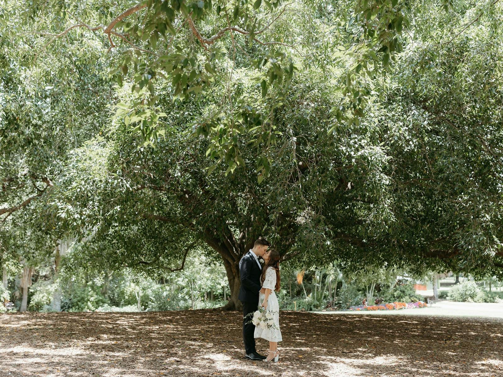 tree elopement photos tree elopement photos