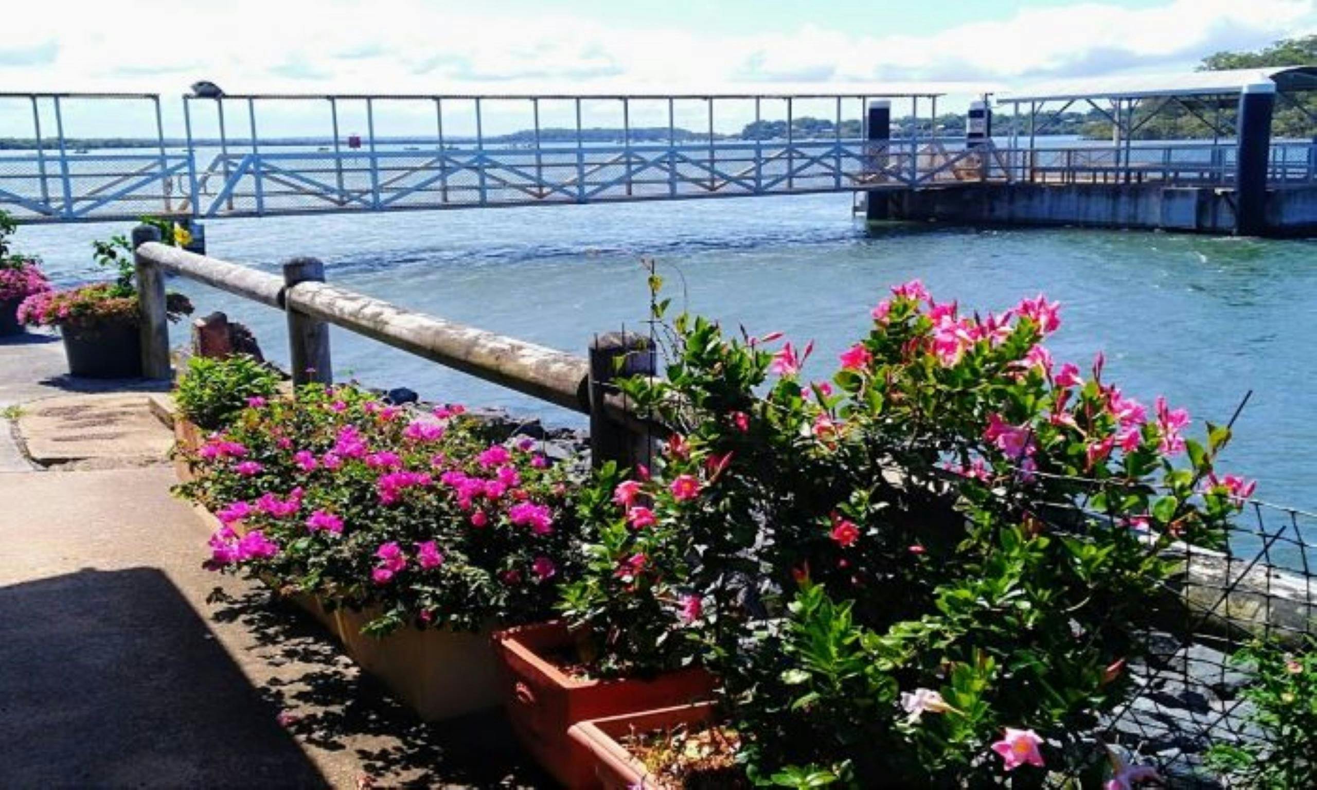 Bay Islands Art and Scenic Tours