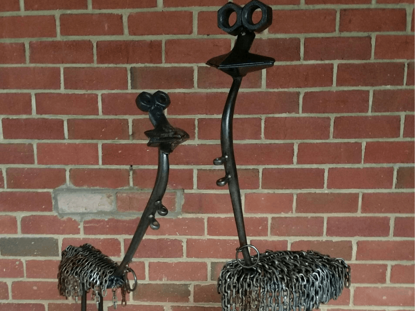 Elwood and Ernie Emu