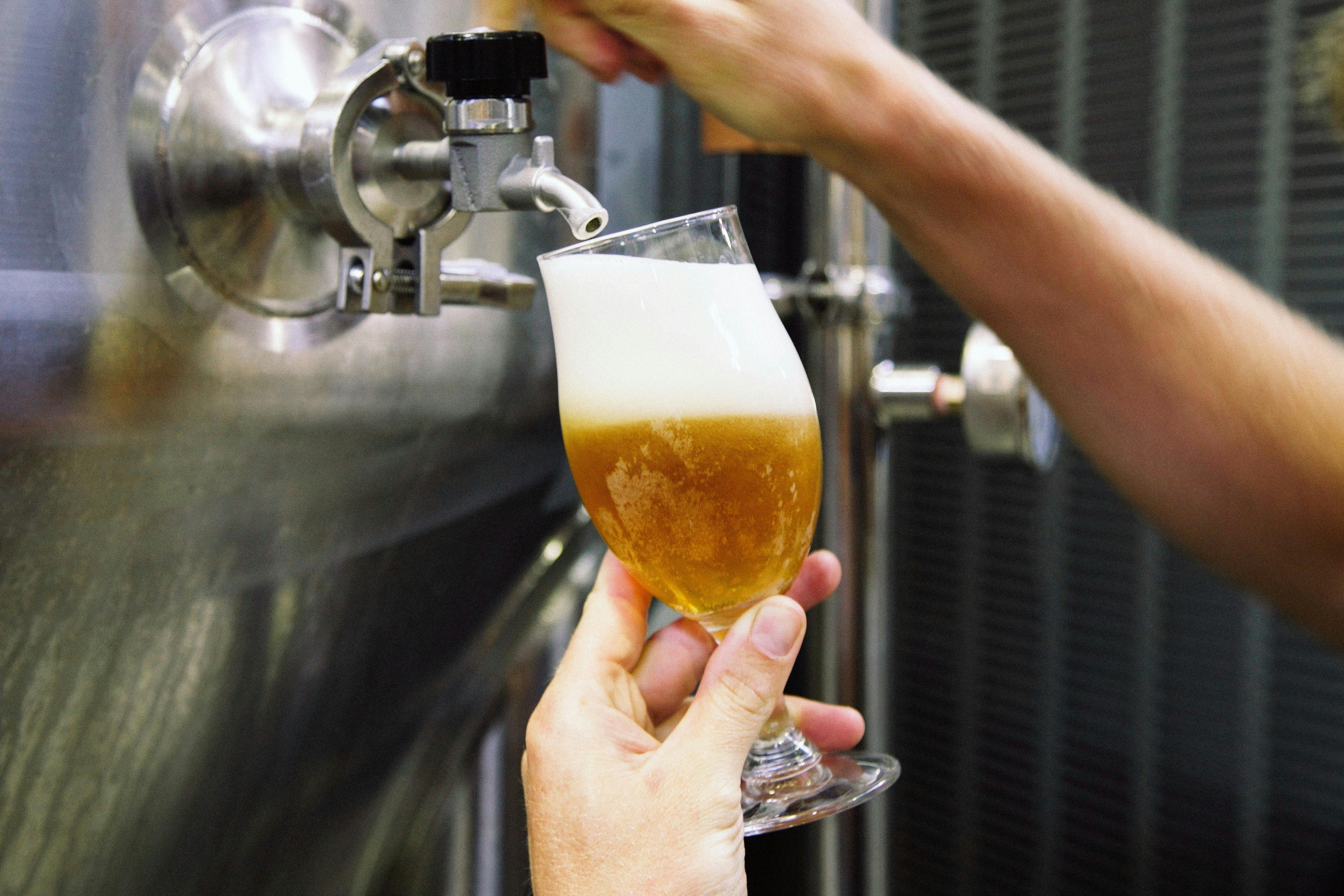 Sunshine Cost and Noosa Craft Beer Tour