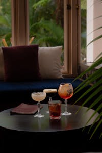 Daintree Bar